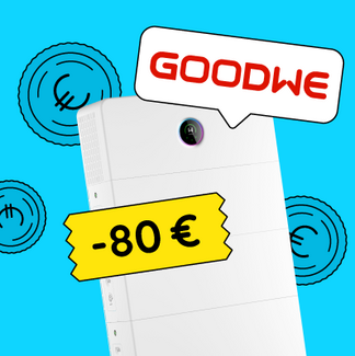goodwe-cashback