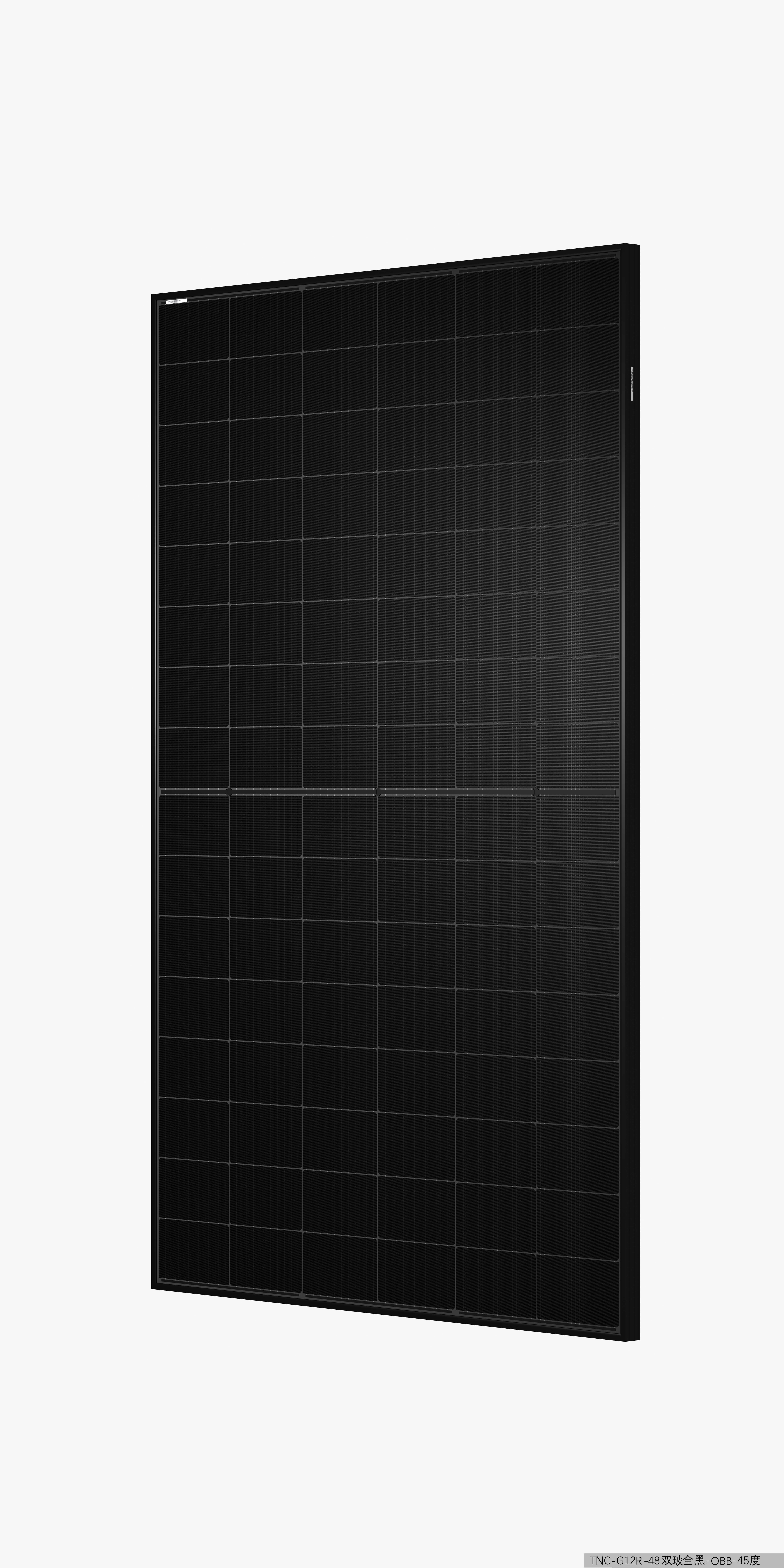 TW Solar Doppelglas TWMNH-48HE 460W